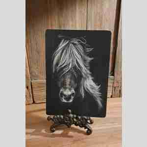 Compleet foto Frame & paard