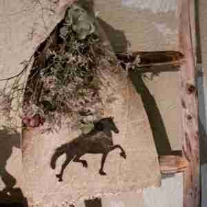 Schabby doek friese hengst