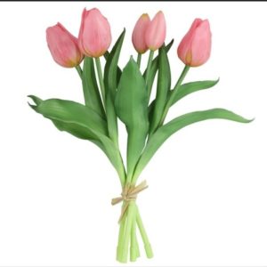Tulpen Roze